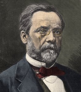 صورة لويس باستور (1822-1895) ، الكيميائي وعالم الأحياء الدقيقة الإنجليزي بواسطة المدرسة الفرنسية