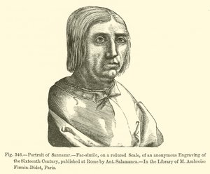 Portrait of Sannazar (engraving) بواسطة المدرسة الفرنسية