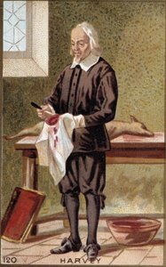صورة ويليام هارفي (1578-1657) ، طبيب إنجليزي. بواسطة المدرسة الفرنسية