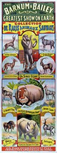 ملصق إعلان عن مجموعة de Rares Animaux Sauvages لسيرك بارنوم وبيلي
