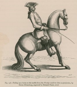 سحب حصان على Snaffle (من Manege moderne dans sa perfect ، بواسطة Baron dEisenberg ، منقوش بواسطة Bernard Picart ، 1727) بواسطة المدرسة الفرنسية