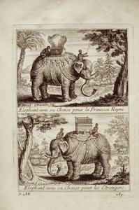 الفيلة الملكية ، من Voyage du Siam des Peres Jesuites بقلم جاي تاكارد ، 1688 بواسطة المدرسة الفرنسية