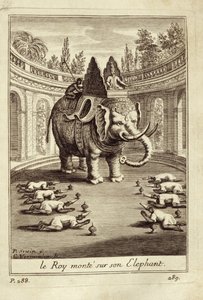 الفيلة الملكية ، من Voyage du Siam des Peres Jesuites بقلم جاي تاكارد ، 1688 بواسطة المدرسة الفرنسية