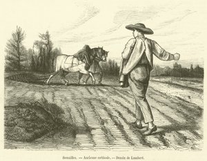 Semailles, Ancienne methode (engraving) بواسطة المدرسة الفرنسية