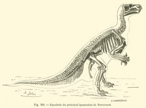 هيكل عظمي لـ Bernissart iguanodon الرئيسي (نقش) بواسطة المدرسة الفرنسية