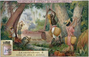 التنصت على أشجار المطاط ، بطاقة إعلانية ترويجية لـ Extra Verit de Viande Liebig ، أواخر القرن التاسع عشر بواسطة المدرسة الفرنسية
