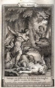 Telemaque delivre Antiope لخنزير بري - نقش عام 1798 بواسطة Monnet في "Les Aventures de Telemaque، fils d'Ulysse" (مغامرات Telemachus) بقلم Francois de Salignac de La Mothe-Fenelon dit Fenelon - بواسطة المدرسة الفرنسية