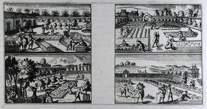 العناية بالحديقة ، من "The Compleat Gard'ner: أو توجيهات للزراعة والنظام الصحيح لحدائق الفاكهة وحدائق المطبخ" بقلم جان دي لا كوينتيني ، نُشر حوالي 1704 (نقش) (صورة بالأبيض والأسود) بواسطة المدرسة الفرنسية