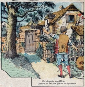الجوزة واليقطين. أساطير جان دي لافونتين (1621-95) ، تصوير إبينال من نهاية القرن التاسع عشر. بواسطة المدرسة الفرنسية