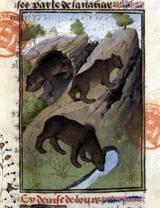 The bear - in “” The Hunting Book of Gaston Phoebus, Count of Foix, Lord of Béarn”” بواسطة المدرسة الفرنسية