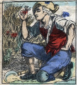استولى المحراث العملاق Brobdingnag على Lemuel Gulliver. رسم توضيحي لـ "" رحلات جاليفر "" لجوناثان سويفت (1667-1745). تصوير إبينال أواخر القرن التاسع عشر. بواسطة المدرسة الفرنسية