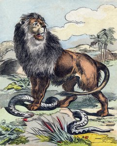 الأسد. نقش في Buffon Alphabet des Animaux. السلسلة الثالثة N 1. تصوير إبينال ، إبينال ، أواخر القرن التاسع عشر .16 صفحة. Dim: 28x21cm بواسطة المدرسة الفرنسية