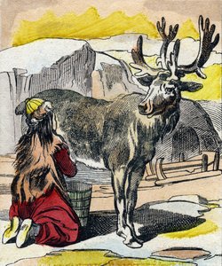 الرنة تحلب. نقش في Buffon Alphabet des Animaux. السلسلة الثالثة N 1. تصوير إبينال ، إبينال ، أواخر القرن التاسع عشر .16 صفحة. Dim: 28x21cm بواسطة المدرسة الفرنسية