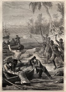 تم توفيرها في مكان قريب جدًا ...: رحلة الكابتن جيمس كوك (1728-1779) إلى نيوزيلندا في عام 1769 - تهاجم الطبيعة النيوزيلندية طاقم كوك أثناء اقترابهم من الشاطئ - رسم توضيحي مأخوذ من "البحارة العظماء في القرن الثامن عشر" " بواسطة المدرسة الفرنسية
