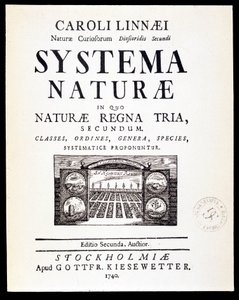 صفحة العنوان "Systema naturae" بقلم Linné بواسطة المدرسة الفرنسية