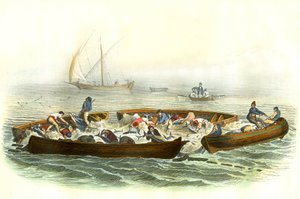 صيد التونة أو الماغراج - لوحة مستخرجة من التاريخ الطبيعي لبرنارد جيرمان دي لاسيبيدي (1856-1925)، طبعة P.Furme، باريس بواسطة المدرسة الفرنسية