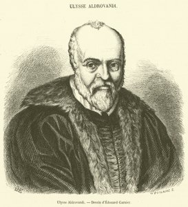 Ulysse Aldrovandi (engraving) بواسطة المدرسة الفرنسية