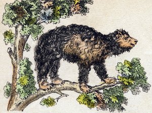 أوناو (كسول). نقش في "" Alphabet des animaux sauvages "". 9th الدوري. صور إبينال ، بيليرين ، ناشر طابعة ، حوالي عام 1870. نقوش على الخشب ، مطبوعة. 16 صفحة. الأبعاد: 20 × 15 سم. مجموعة خاصة بواسطة المدرسة الفرنسية