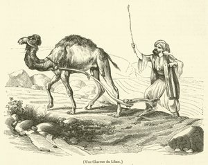 محراث من لبنان (نقش) بواسطة المدرسة الفرنسية