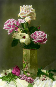 مزهرية من الورود عام 1898 (صورة ملونة يدوياً) بواسطة المدرسة الفرنسية