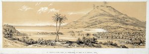 منظر لـ Pointe a Pitre (Pointe-a-Pitre) قبل الزلزال. نقش من عام 1843. شارتر ، متحف الفنون الجميلة بواسطة المدرسة الفرنسية