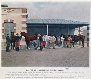زيارة طبيب بيطري للثكنات ، 1897 (ليثو ملونة ، بعد صورة ملونة) بواسطة المدرسة الفرنسية