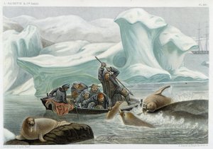 Walrus hunting - in “” Le monde de la mer”” by Alfred Fredol, Hachette, Paris بواسطة المدرسة الفرنسية