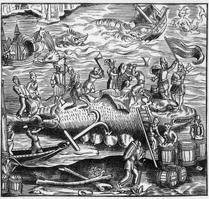 صيد الحيتان على الساحل الفرنسي للمحيط الأطلسي في العصور الوسطى. نقش في "La Marine et les Colonies: Commerce" بواسطة المدرسة الفرنسية