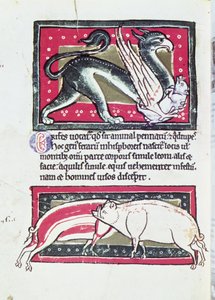 خنزير بري وغريفون ، مصغر من Saltykowchsh Edrin Bestiary بواسطة المدرسة الفرنسية