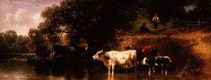 سقي الماشية في المناظر الطبيعية المشجرة