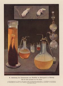 الحصول على مصل الكزاز من دم الحصان، ماربورغ، ألمانيا (صورة حجرية ملونة) بواسطة فريتز جيركه