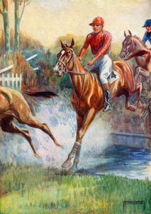 رسم توضيحي للجمال الأسود (لون ليثو)