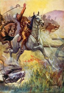 رسم توضيحي للجمال الأسود (لون ليثو)