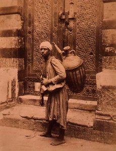 ناقل مياه مصري (صورة بني داكن)