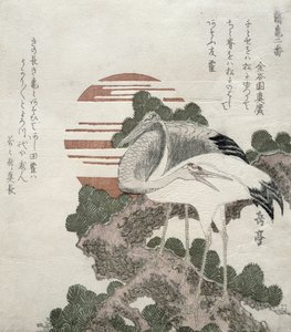 الرافعة (Tsuru) من تصميمات السلسلة 2 للرافعات والسلاحف ، 1818-30 (نقش الخشب) بواسطة جاكوتي هارونوبو