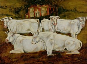 Charolais بولز ، Dippenhall ، Farnham بواسطة غاريث لويد بول