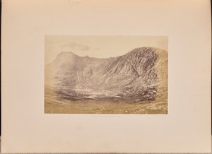 ستيكل تارن وبافي آرك بواسطة جارنيت وسبروت