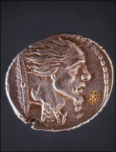 افترض ملف تعريف Vercingetorix على قطعة Gauloise. متحف جمع الميداليات. ميلان