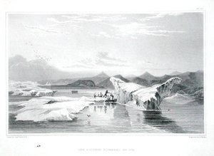 الدلفين المحشور بالجليد ، من "قصة رحلة إلى شواطئ البحر القطبي في السنوات 1819-22" للسير جون فرانكلين (1786-1847) نقش بواسطة إدوارد فيندن (1791-1857) نُشر في 1823-1828 (ملون نقش) بواسطة جورج (بعد) العودة