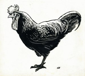الدجاجة ، 1950s (scraperboard) بواسطة جورج آدمسون