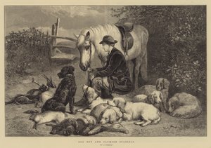 الكلب الصبي و Clumber Spaniels
