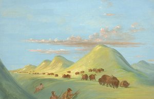 باتيست ، بوجارد ، وأنا نقترب من الجاموس في ميسوري ، 1837-1839. بواسطة جورج كاتلين