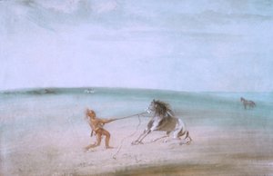  بواسطة جورج كاتلين