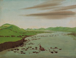 قطعان الجاموس تعبر أعالي ميسوري 1832.