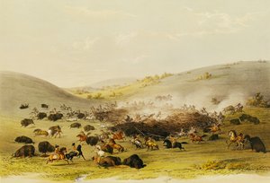 الجاموس هانت ، المحيطي ، c.1832 بواسطة جورج كاتلين