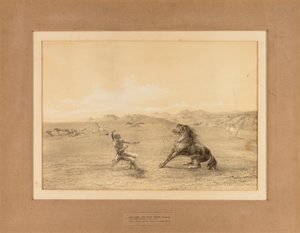  بواسطة جورج كاتلين