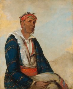  بواسطة جورج كاتلين
