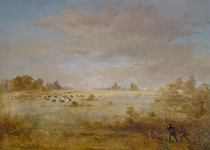 إلك ترعى على مرج خريف ، 1846-1848. بواسطة جورج كاتلين