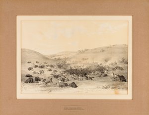  بواسطة جورج كاتلين