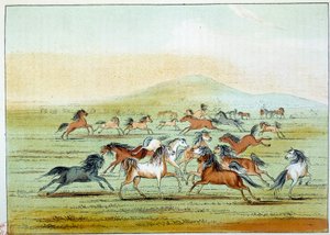 هنود أمريكا: خيول برية يصطادها الهنود. رسم جورج كاتلين (1794-1872) بواسطة جورج كاتلين